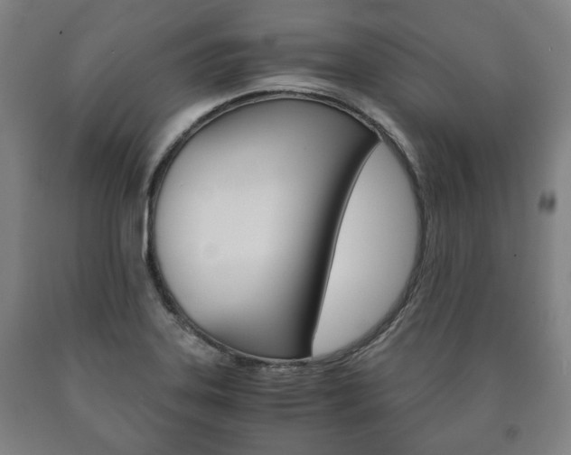 X0000090901323200707301003