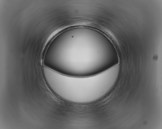 X0000090901324200707301003