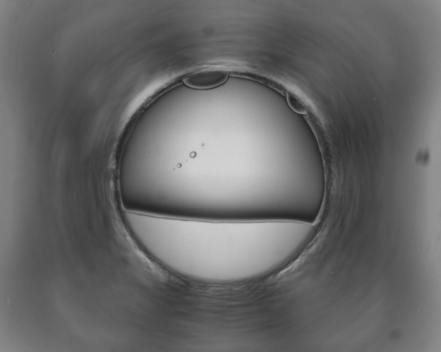 X0000090901325200707301003