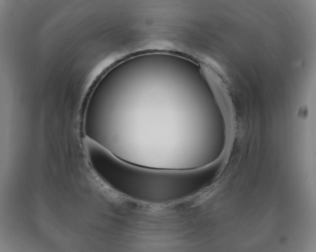 X0000090901326200707301003