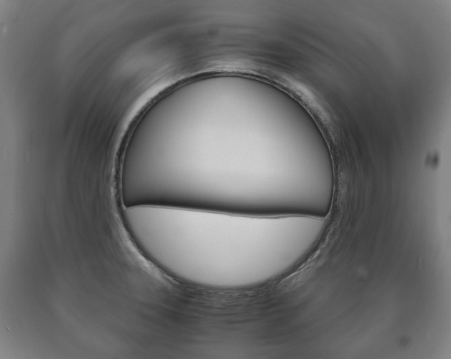 X0000090901331200707301003