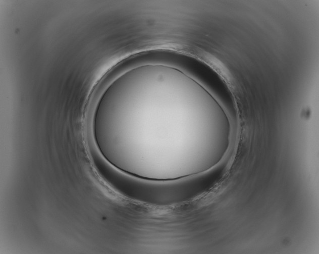 X0000090901332200707301003