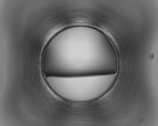 X0000090901333200707301003