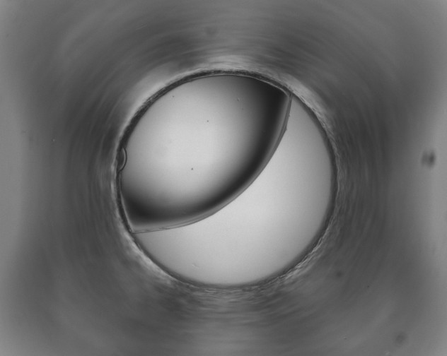 X0000090901334200707301003