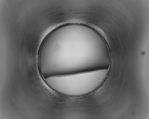 X0000090901335200707301003