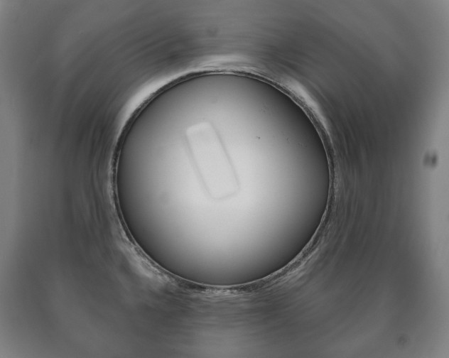X0000090901336200707301003