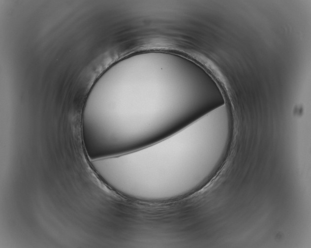 X0000090901337200707301003