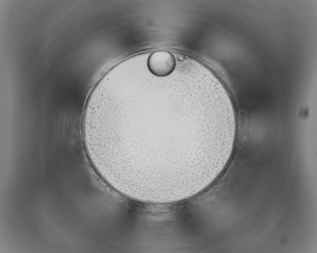X0000090901338200707301003
