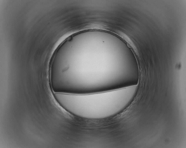X0000090901339200707301003