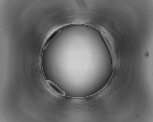 X0000090901340200707301003