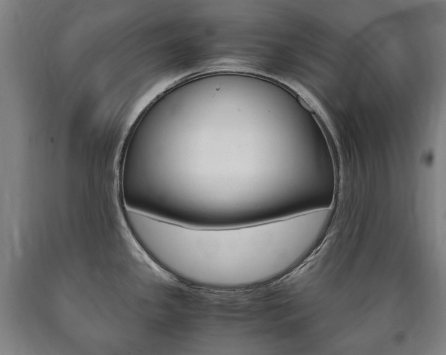 X0000090901341200707301003
