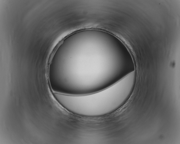 X0000090901342200707301003