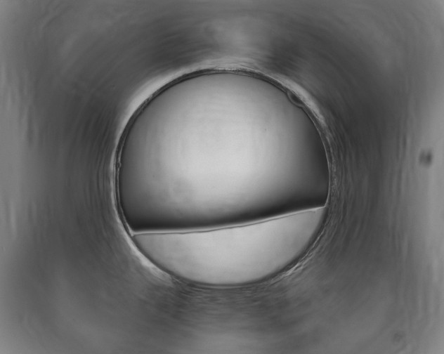 X0000090901343200707301003