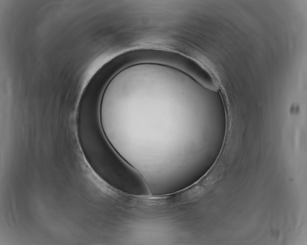 X0000090901344200707301003
