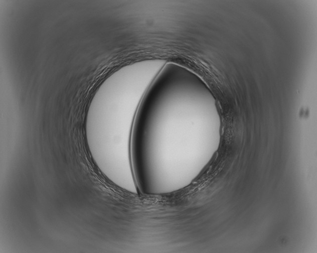 X0000090901345200707301003