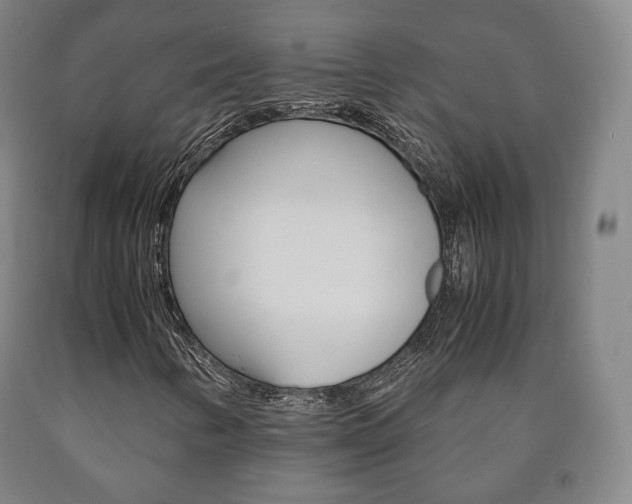 X0000090901346200707301003