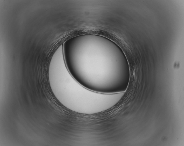 X0000090901348200707301003