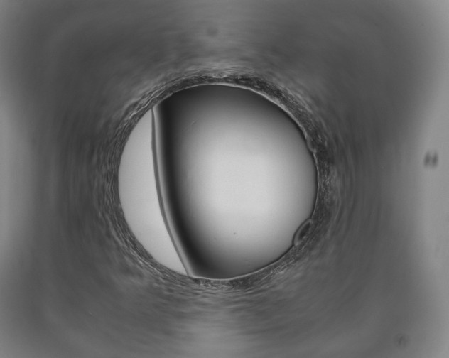X0000090901349200707301003