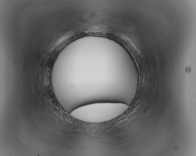X0000090901350200707301003