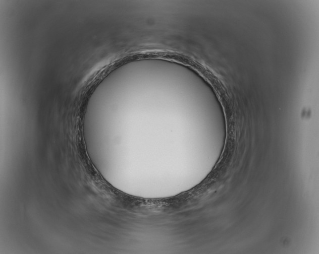 X0000090901351200707301003