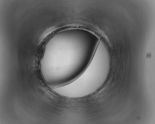 X0000090901352200707301003
