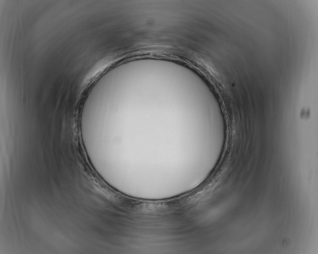 X0000090901354200707301002