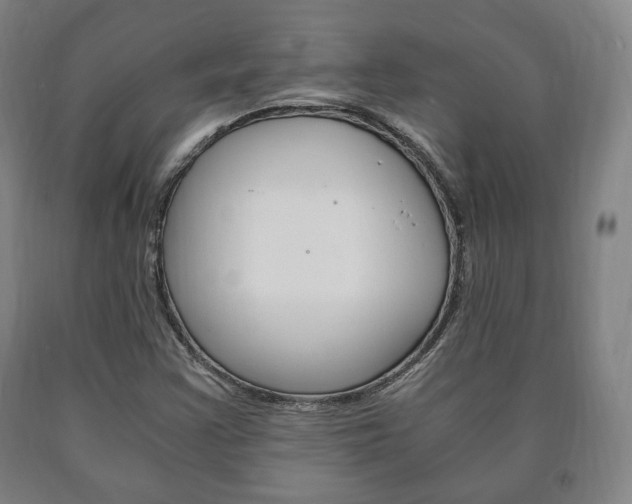 X0000090901355200707301002
