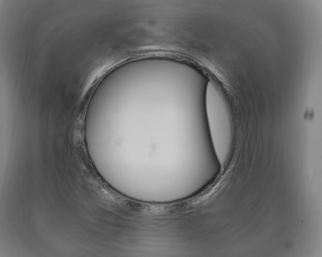 X0000090901357200707301002