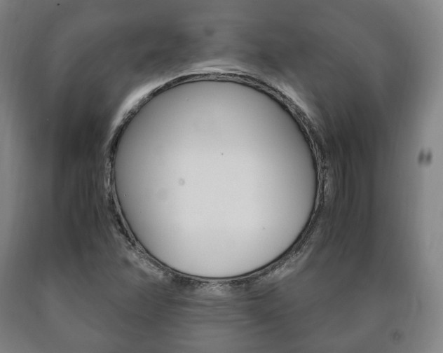 X0000090901358200707301002
