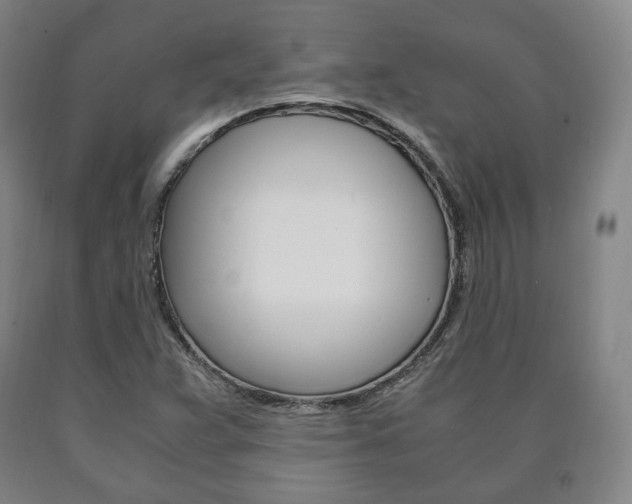 X0000090901359200707301002