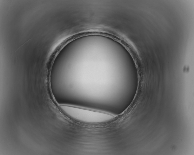X0000090901360200707301002