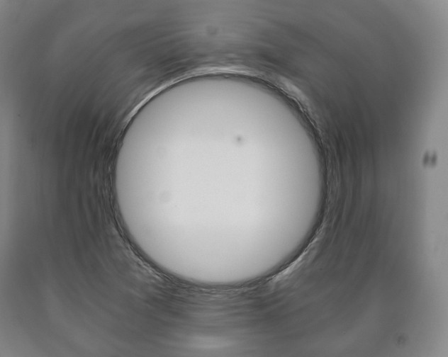 X0000090901361200707301002