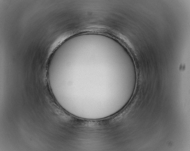 X0000090901362200707301002