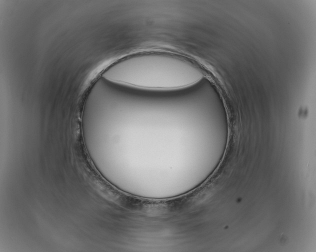 X0000090901363200707301002