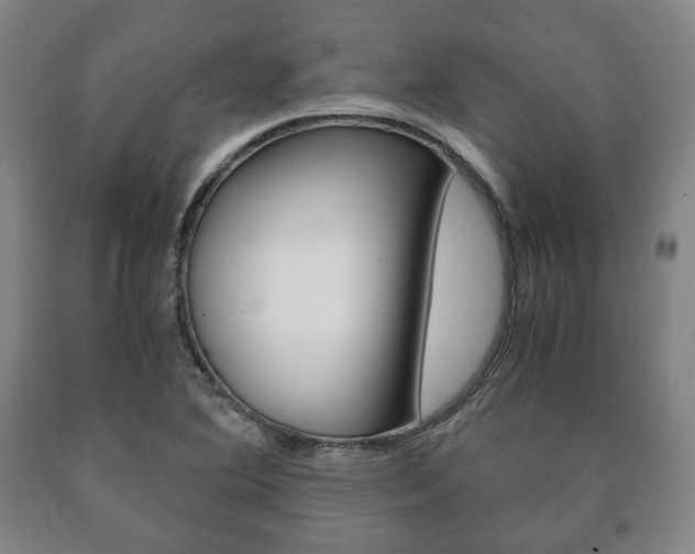 X0000090901364200707301002
