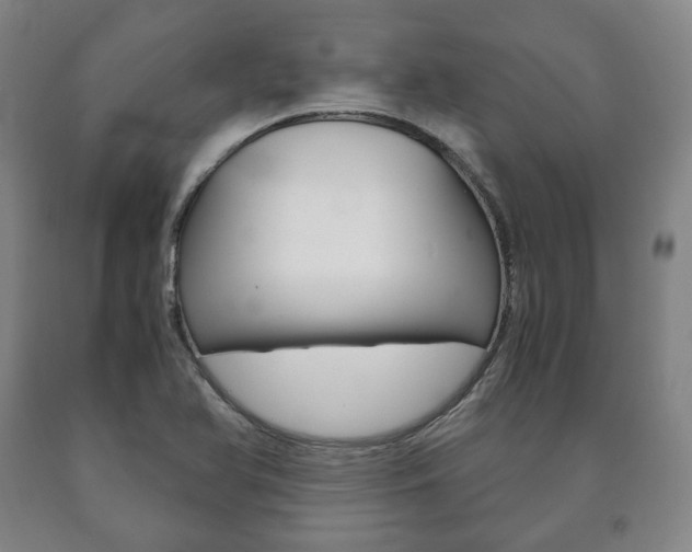 X0000090901366200707301002
