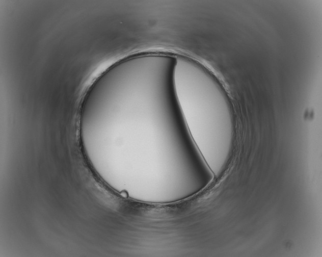 X0000090901367200707301002