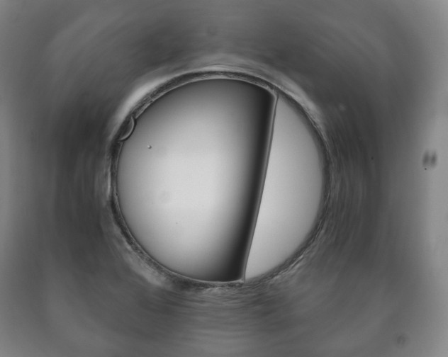 X0000090901368200707301002