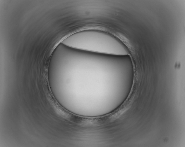X0000090901369200707301002
