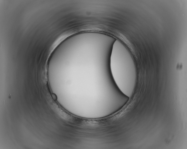 X0000090901370200707301002