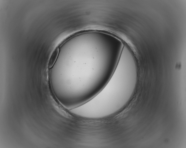 X0000090901372200707301002