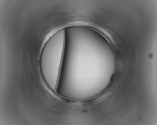 X0000090901373200707301002