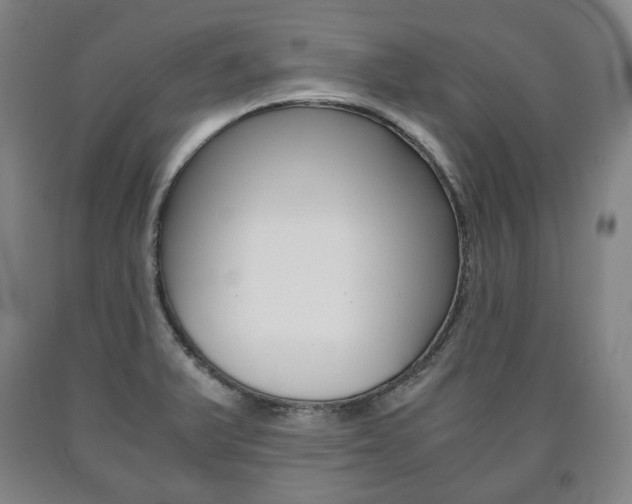 X0000090901375200707301002