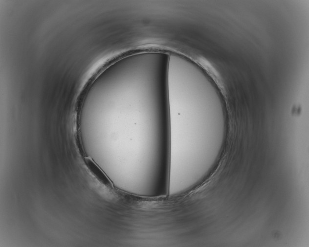 X0000090901376200707301002