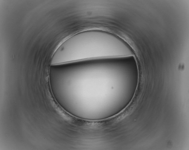 X0000090901377200707301002