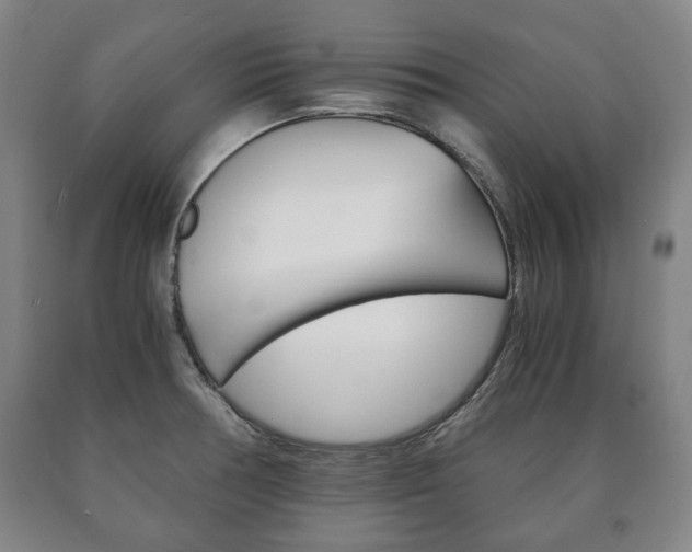 X0000090901378200707301002