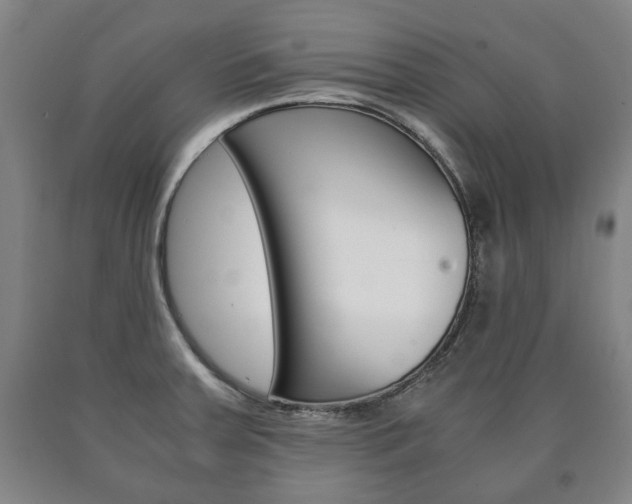 X0000090901379200707301002