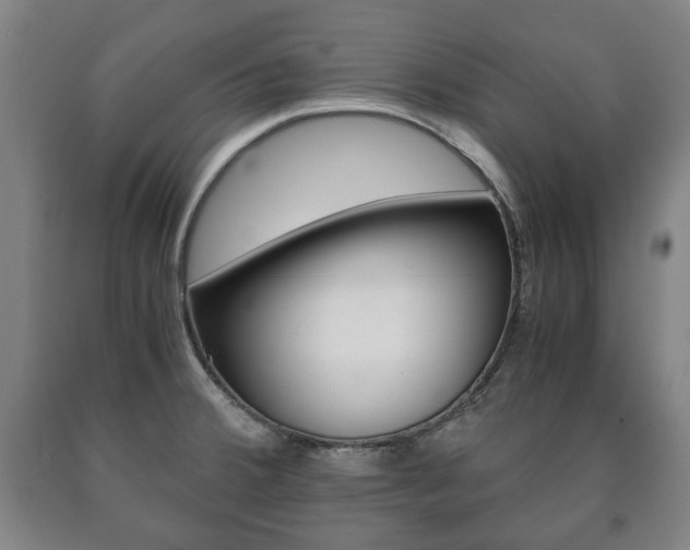 X0000090901380200707301002