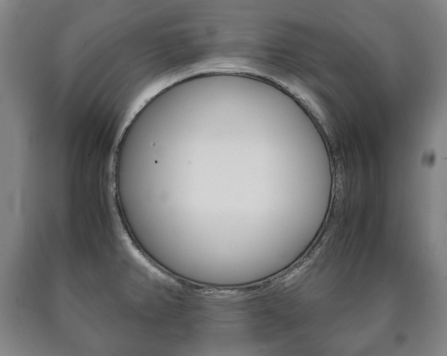 X0000090901382200707301002