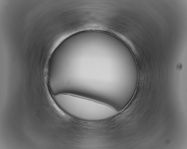 X0000090901383200707301002
